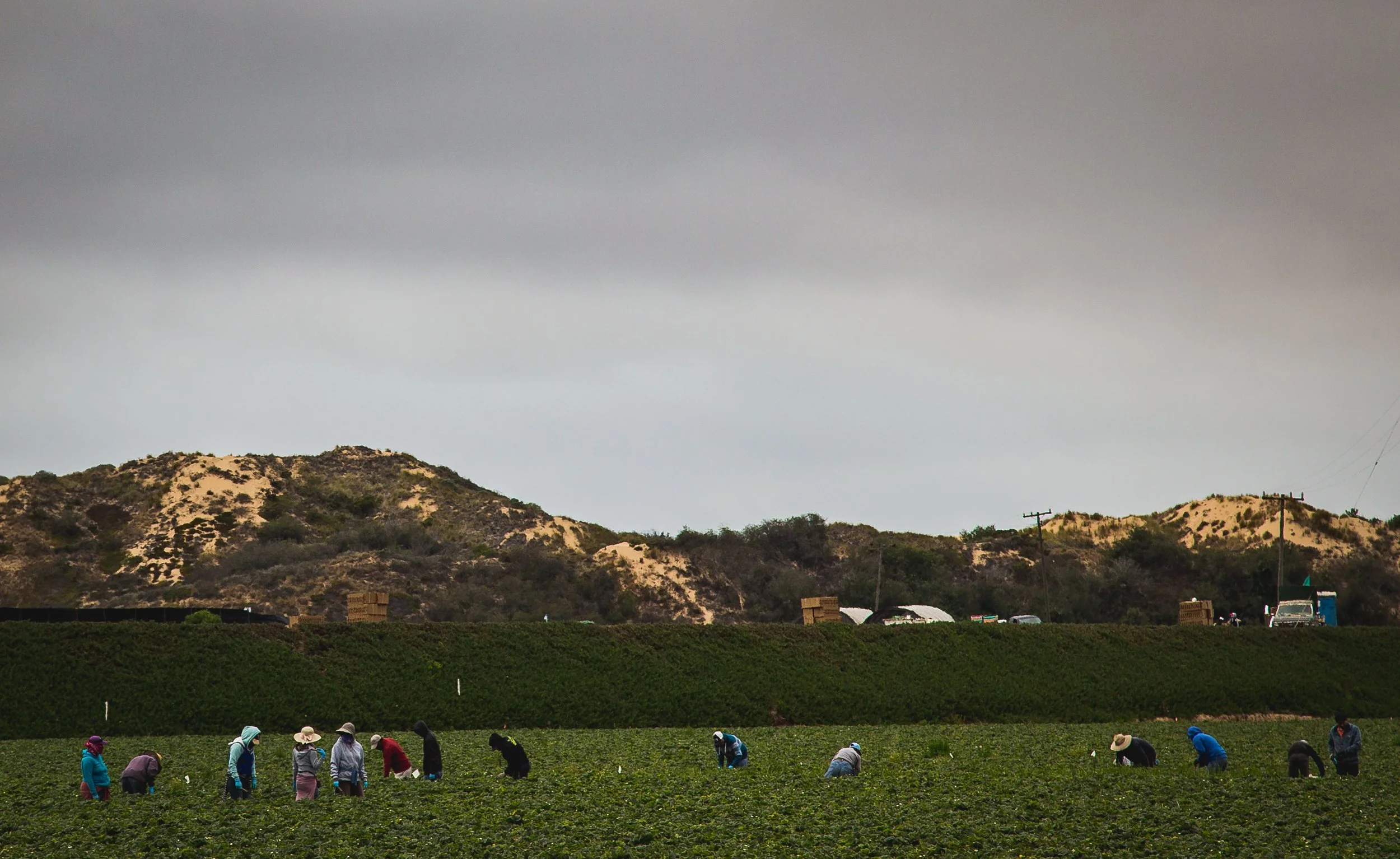 Protecting California’s Essential Workers from the Health Impacts of Climate Change