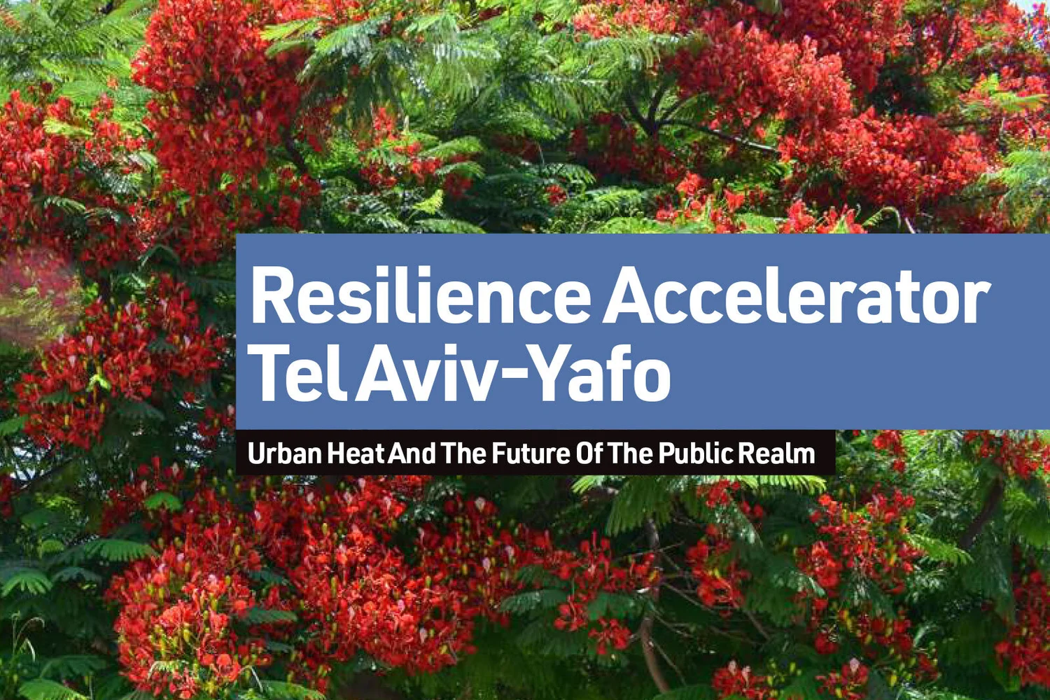 Cover of the Tel Aviv-Yafo Resilience Accelerator report