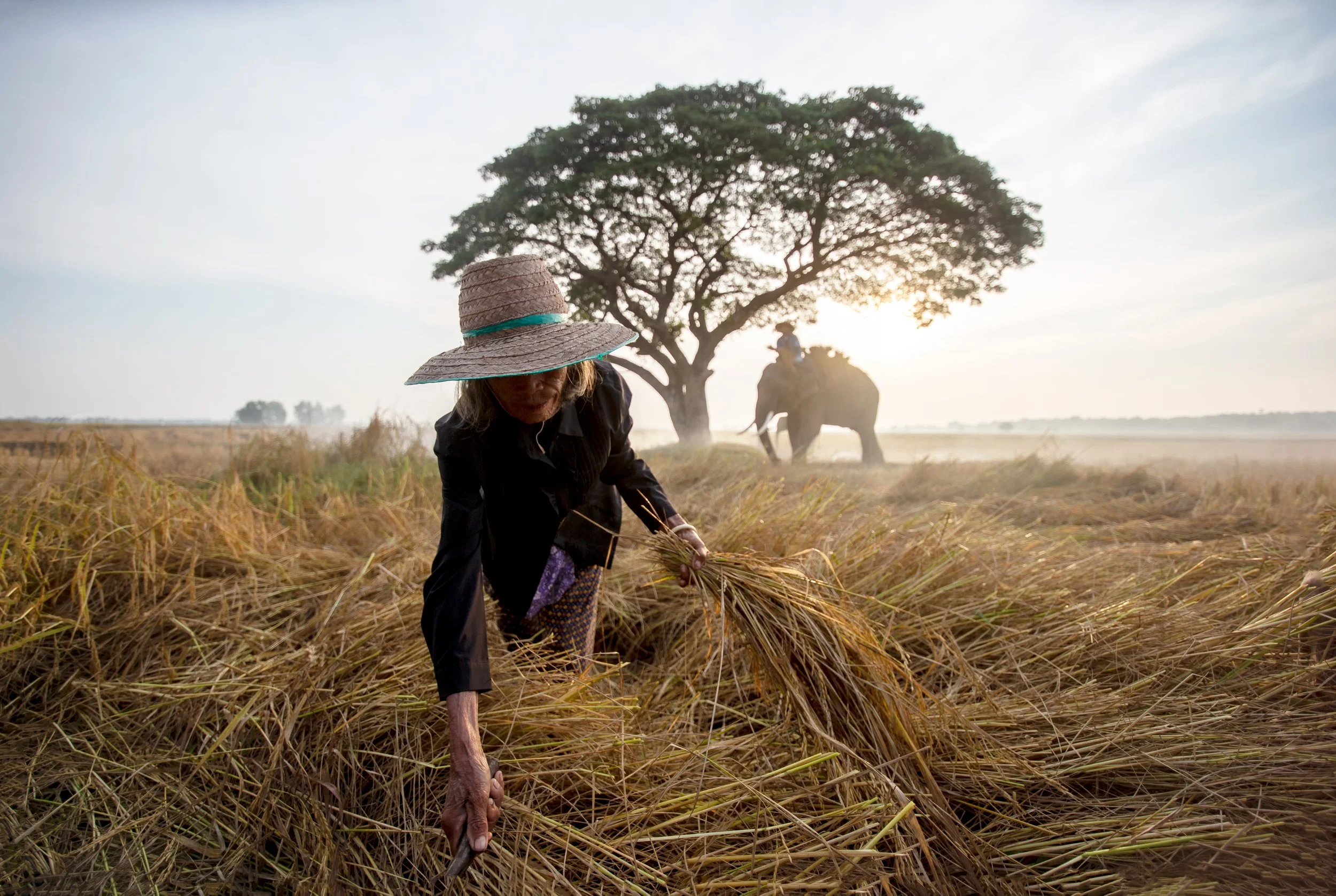 Climate Adaptation Projects Standard