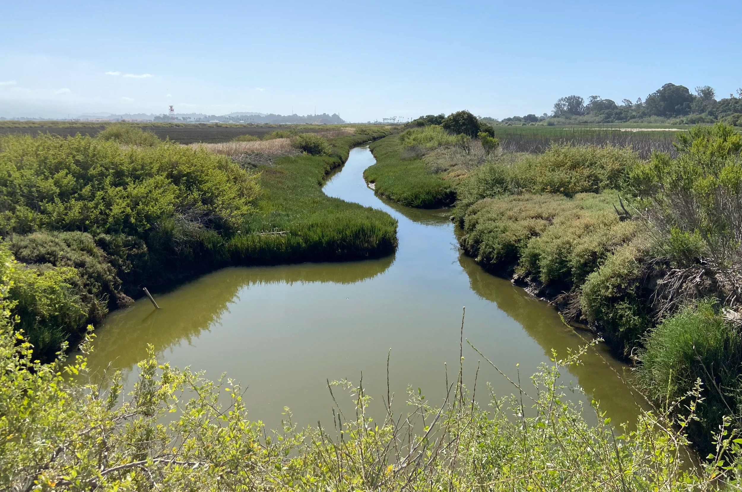 Goleta Slough Resilience Project Acceleration
